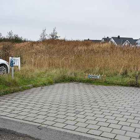 Seeschwalbe Olpenitz