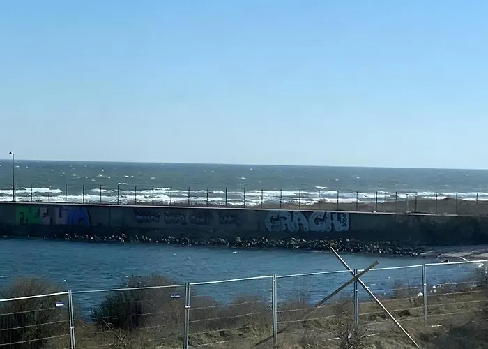 Seeschwalbe أوبلينتيز